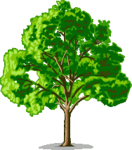 tree21